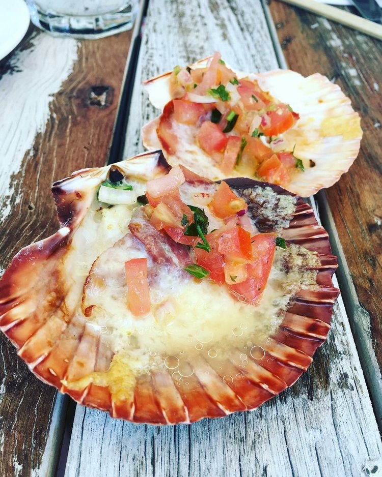 baked scallops twenty four restaurant dee why sydney