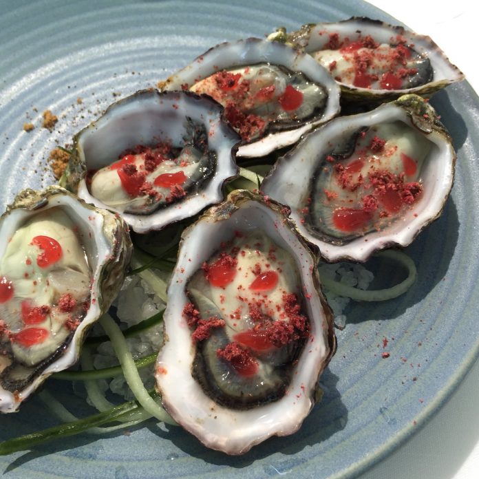 seafood restaurants sydney oysters aqua dining